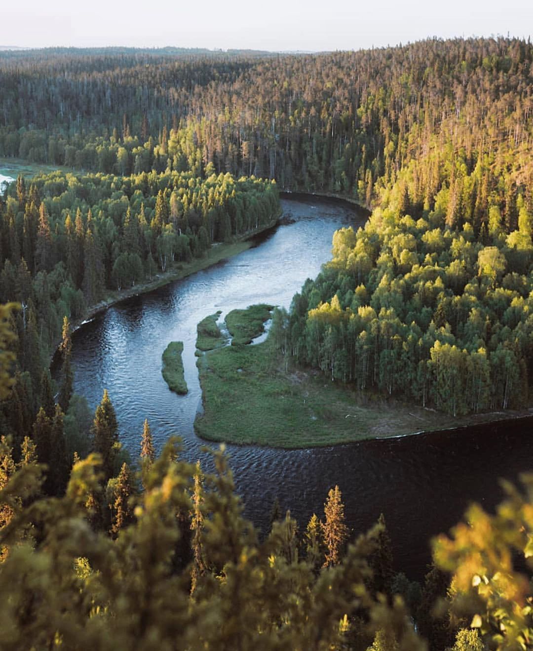 Ruska suomalaisessa metsässä järven vieressä